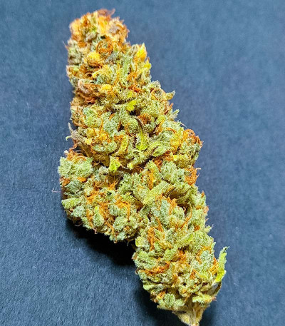 Семена конопли сорта Permanent Marker fem (7CH American)