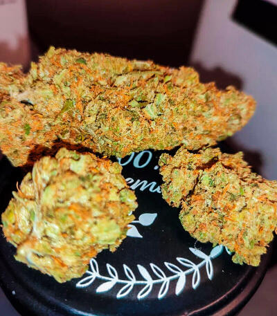 Семена сорта Gagarin Haze fem (Семяныч)