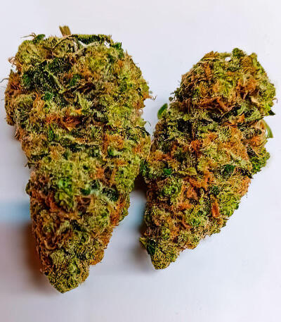 Семена сорта Durban Poison Auto fem (Семяныч)