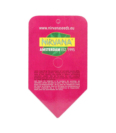 Семена сорта Master Kush fem (Nirvana Seeds)