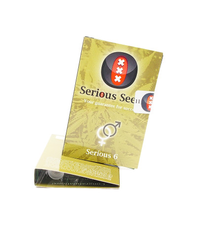 Семена сорта Serious 6 reg (Serious Seeds)