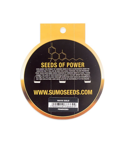 Семена сорта Maya Gold fem (Sumo Seeds)