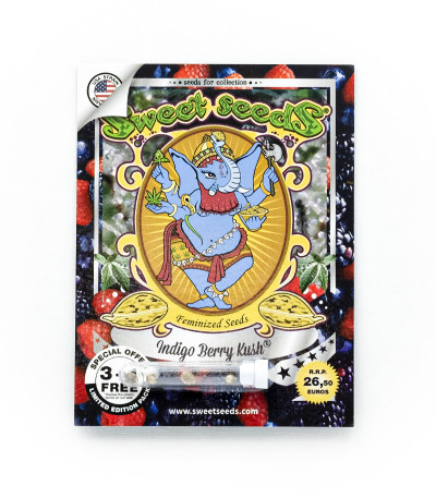Семена сорта Indigo Berry Kush fem (Sweet Seeds)