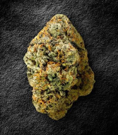 Семена сорта Gagarin Haze fem (Семяныч)
