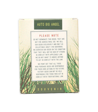 Семена сорта Auto Big Angel fem (Victory Seeds)