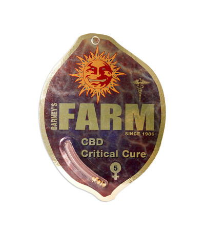 Семена сорта CBD Critical Cure fem
