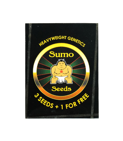Семена сорта AK Full Auto fem (Sumo Seeds)