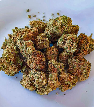 Семена сорта LA Confidential Autoflower fem (Семяныч)