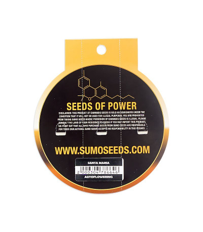 Семена сорта Santa Maria Auto fem (Sumo Seeds)