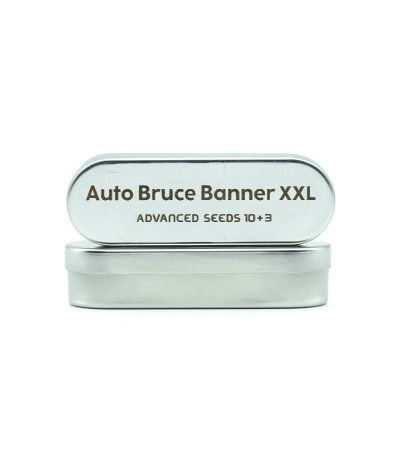 Семена сорта Auto Bruce Banner XXL fem (Advanced Seeds)