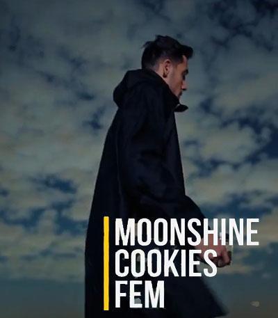 Семена сорта Moonshine Cookies fem (7CH American)