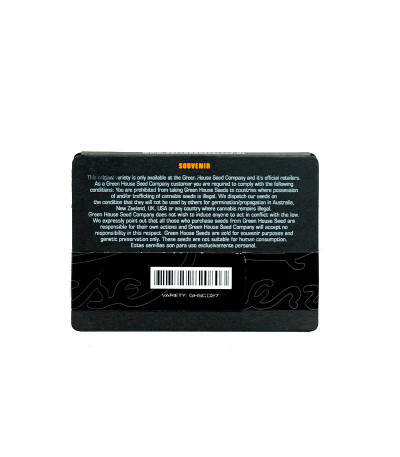 Семена сорта Great White Shark (Green House Seeds)