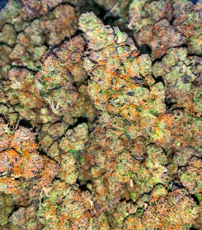 Семена сорта Sticky Sherbert GG fem (Seedkeepers)