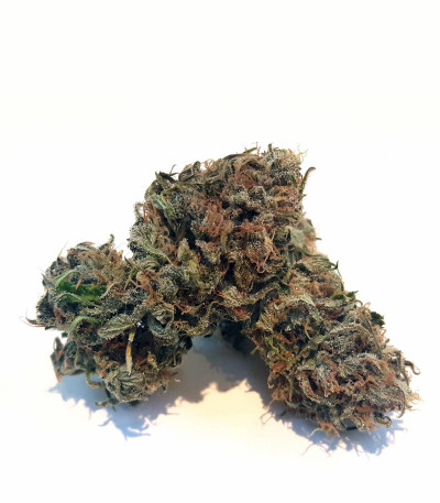 Семена сорта Amnesia Haze (Haze 1) fem (Nirvana Seeds)