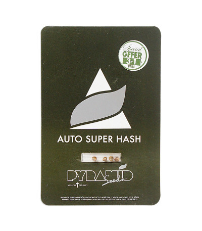 Семена сорта Auto Super Hash fem (Pyramid Seeds)