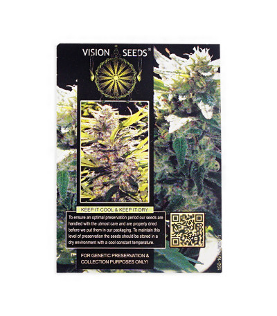 Семена сорта La Blanca Gold fem (Vision Seeds)