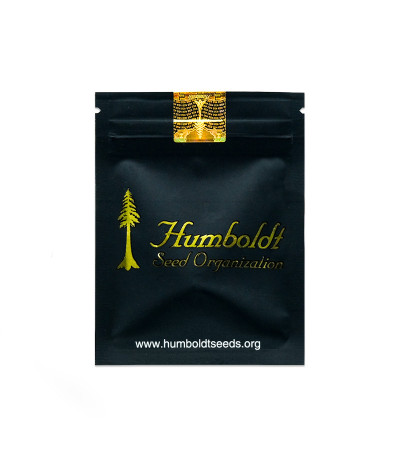Семена сорта Blueberry Headband fem (Humboldt Seed Organization)