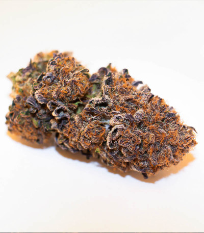 Семена сорта Dozywelly OG fem (AlphaFem Seeds)