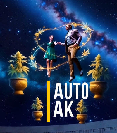 Семена сорта Auto Ak (Auto Ak 47) fem (Семяныч)