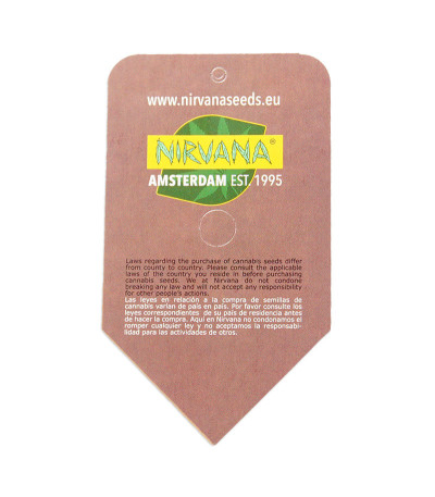 Семена сорта Bubblelicious reg (Nirvana Seeds)
