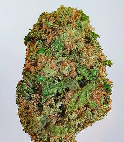 Семена сорта LA Confidential Autoflower fem (Семяныч)