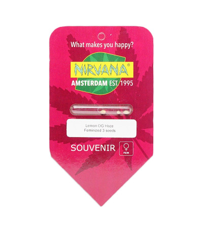 Семена сорта Lemon OG Haze fem (Nirvana Seeds)