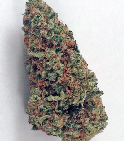 Семена сорта King’s Kush fem