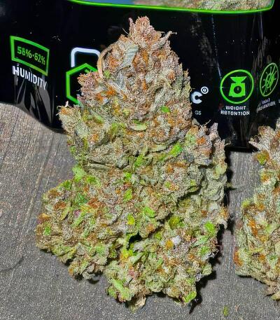 Семена сорта Strawberry Gorilla Auto RF3 fem (FastBuds)