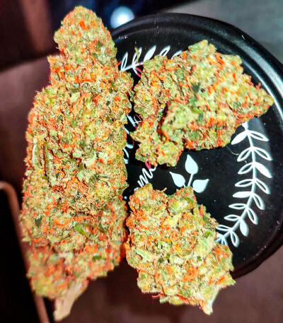 Семена сорта Gagarin Haze fem (Семяныч)