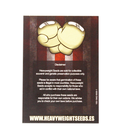 Семена сорта Wipeout Express Auto fem (Heavyweight Seeds)