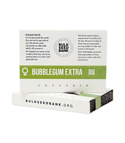 Семена марихуаны Bubblegum Extra в оригинальной упаковке