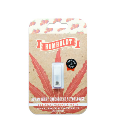 Семена сорта Strawberry Cheesecake Auto fem от Humboldt Seed Company