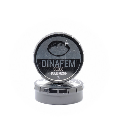 Семена сорта Blue Kush fem (Dinafem Seeds)