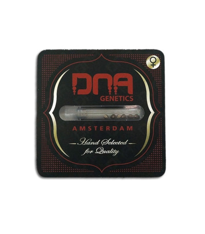 Семена сорта Chocolope fem (DNA Genetics)