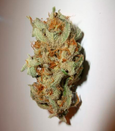 Семена сорта Caramelo fem (Delicious Seeds)