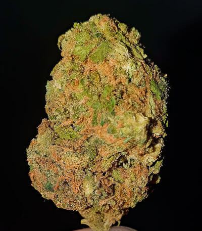 Семена сорта LA Confidential Autoflower fem (Семяныч)