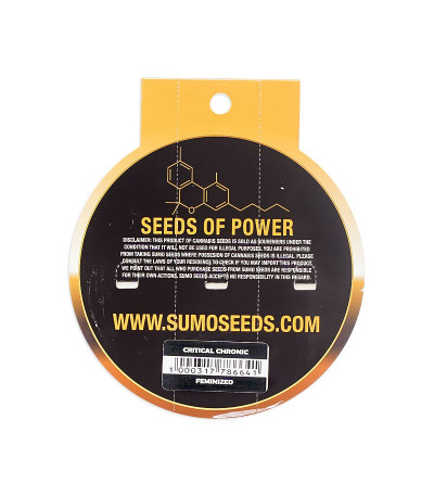 Семена сорта Critical Chronic fem (Sumo Seeds)