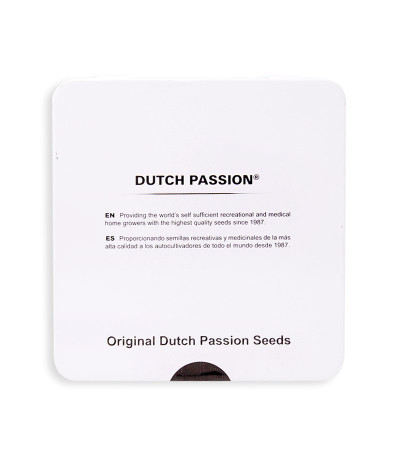Семена сорта Purple #1 reg (Dutch Passion)