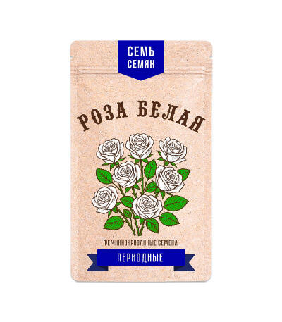 Семена конопли сорта Kush Mints Fast Version