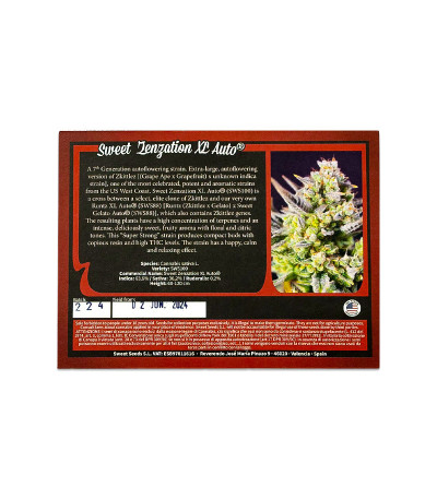 Семена сорта Sweet Zenzation XL Auto fem (Sweet Seeds)