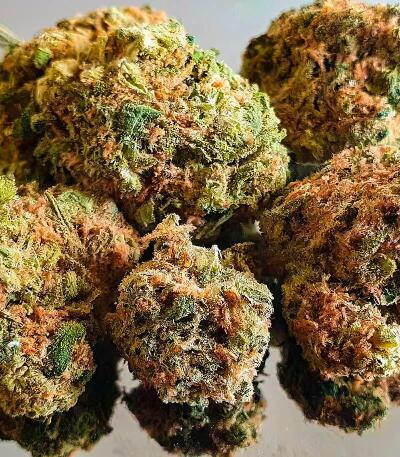 Семена сорта LA Confidential Autoflower fem (Семяныч)