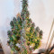 Семена сорта Blue Auto Mazar fem (Dutch Passion)