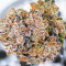 Семена сорта Auto Mimosa Punch fem (Dutch Passion)