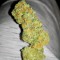 Семена сорта Fresh Candy fem (Pyramid Seeds)
