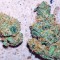 Семена сорта Super Skunk reg (Nirvana Seeds)