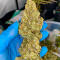Семена сорта Zkittlez × Gorilla Glue fem (7CH Seeds & Cali Buds Seeds)