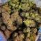 Семена сорта OG Kush Auto fem (Семяныч)