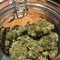 Семена сорта Critical Chronic fem (Sumo Seeds)