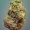 Семена сорта LA Confidential Autoflower fem (Семяныч)