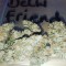Семена сорта Delhi Friend fem (Dr. Krippling Seeds)